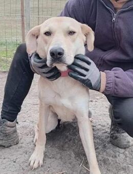 Deliana, unser Wunder - Steinhagen (Nordrhein-Westfalen)