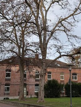 Maisonette mit Einbauküche und Stellplatz - Sarstedt