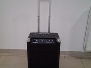 ALESIS Soundsystem - Schwielowsee