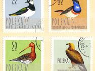 Polnische Briefmarken Wildvögel (439) - Hamburg