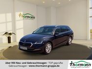 Skoda Octavia, 2.0 TDI Combi Style 4xSHZ, Jahr 2023 - Stendal (Hansestadt)