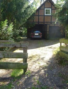 2 Fachwerkhäuser auf einem Waldgrundstück suchen neue Liebhaber (AI-1020-99) - Wienhausen (Klostergemeinde)