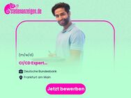 CI/CD Expert (m/w/d) - Frankfurt (Main)