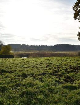 Parkartiges Baugrundstück in 2. Reihe mit unverbaubarem Blick über die Billewiesen - Trittau