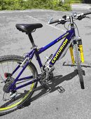 Mountainbike "Centurion" in 54296