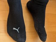 Verkaufe getragene Socken - Hannover