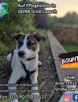 BOUNTY-möchtest Du mir SIcherheit geben? - Waakirchen