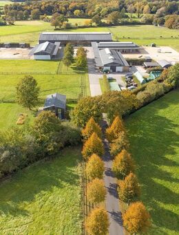moderne Reitanlage vor den Toren Münsters - Drensteinfurt