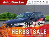 Opel Insignia B Sports Tourer Edition 2.0 CDTI Navi - Marktredwitz