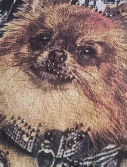 Shirt Gr. XXLMotiv Pomeranian Spitze. Pflegeleicht. 2 x getragen - Wuppertal