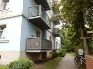 Attraktives Wohnungspaket mit 5 Wohnungen in Toplage - Dresden