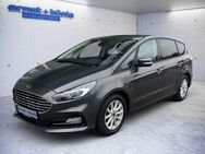 Ford S-Max 2.0 EcoBlue Aut. Business NAVI SHZ LED ALU - Freiburg (Breisgau)