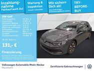 VW Golf, 2.0 TDI VIII Move, Jahr 2024 - Mannheim