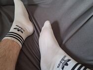 Biete meine getragenen Socken an:) - Bremen