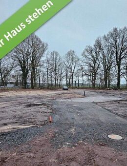 Mit Grundstück, Familienleben auf einer Ebene in Rodewald. - Rodewald