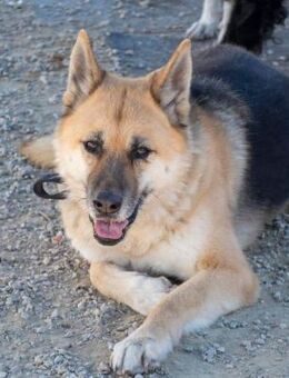 Ruhige Luna - Bad Camberg