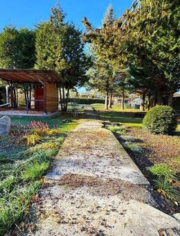 Halle-Nietleben: Kleines saniertes Haus mit Anbaureserve, großes Gartengrundstück - Halle (Saale)