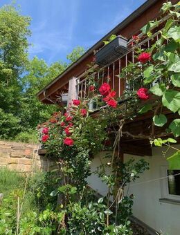Holzhaus als moderne Berghütte - Itzgrund