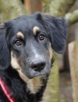 Machen Sie Urano glücklich? - Neuss