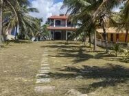 Brasilien 3 Zimmer Strandhaus 150 m2 Wohn- fläche mit Pool und mit Sicht auf das Meer in der Nähe von Guarajuba Bahia - Waldshut-Tiengen