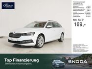 Skoda Superb, 2.0 TDI Combi Ambition, Jahr 2023 - Amberg