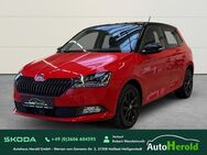 Skoda Fabia, Style Colour Concept, Jahr 2020 - Heiligenstadt (Heilbad) Zentrum