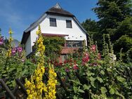 Inselfeeling pur - idyllisches Reetdachhaus mit zwei zusätzlichen Ferienwohnungen und Nebengelass zwischen Bodden und Ostsee - Insel Hiddensee