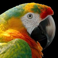 Profil