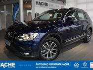 VW Tiguan, 1.5 TSI Comfortline, Jahr 2020 - Blomberg (Nordrhein-Westfalen)