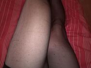 Suche Sie mit Lust auf Nylons/Dessous - Backnang