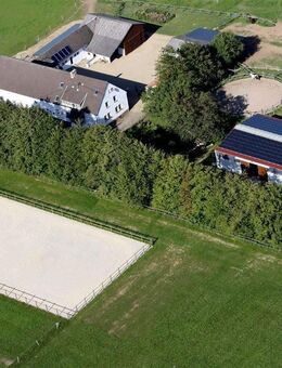 Nähe Daun/Gerolstein! Anwesen in Alleinlage für Pferde u. mehr! Inkl. kl. Reithalle, Reitplatz, Ferienwohnung, Stallungen uvm.... - Daun