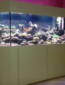 Meerwasseraquarium, komplett, ca. 1000 l in 48361