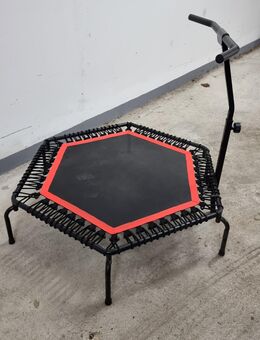 Fitness Trampolin mit Stange - Köln