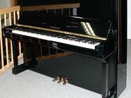 Klavier Yamaha U300, 131 cm, schwarz poliert, Nr. 5318698, 5 Jahre Garantie - Egestorf