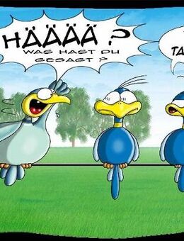 Lustige Hösti Postkarte " Taube" witzige Karte - Berlin