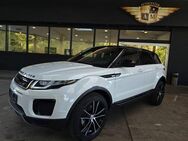 Land Rover Range Rover Evoque TD4 Pure BLACK/LEDER/KAMERA - Göttingen