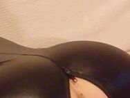 Bi M im catsuit sucht - Berlin