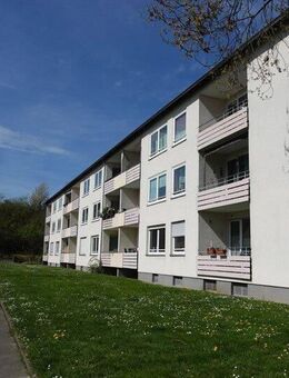 So macht wohnen Spaß: interessante 3-Zimmer-Wohnung - Kassel