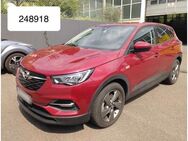 Opel Grandland X Hybrid LED Navi DAB AHK 18" Leder - Steinbach-Hallenberg