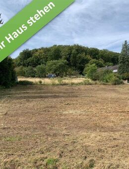 Mit Grundstück, ein Bungalow, der begeistert in Lamspringe. - Lamspringe