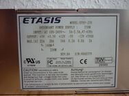 ETASIS Server Netzteil EFRP-250 PSU Redundant - Grafenrheinfeld