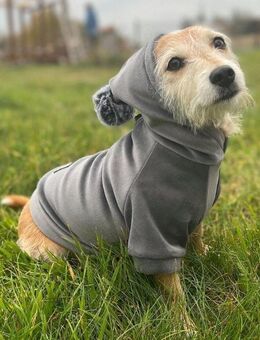 Handmade SWEATSHIRT Hundejacke Hunde Hoodie WELUR Kleidung FARBWAHL Set1 - Wuppertal