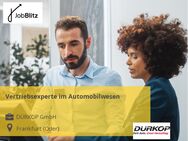 Vertriebsexperte im Automobilwesen - Frankfurt (Oder)