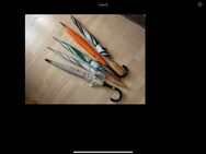 Der 2. oder 3. Schirm…. - Tettnang