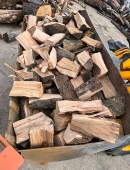 Brennholz Feuerholz Kaminholz - Machern