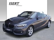 BMW 218 i Cabrio Sport Line A.+HiFi+DAB+NAVI+PDC - Kronach