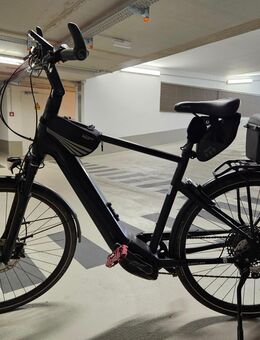 EBike Pegasus EVO 12 SUPERLITE. 28 Zoll - 55 cm - 12 Gang - Freilassing