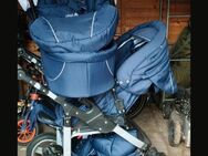 3in1 Kinderwagen - Brieskow-Finkenheerd