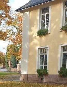 Einzigartige Villa auf einem parkähnlichen Grundstück mit viel Gestaltungspielraum - Hofgeismar