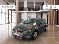 VW Golf, 2.0 TDI VII IQ DRIVE, Jahr 2019 - Wischhafen